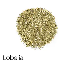 Lobelia Herb - 50g