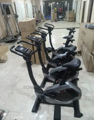 Big Strong Magnetic Bike