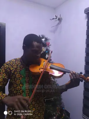 Violin Professional Tutor