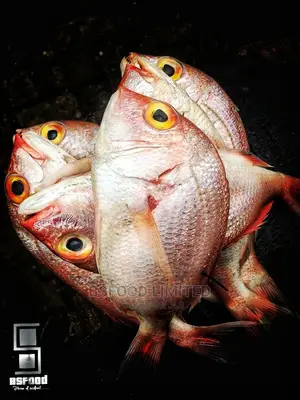 Seafood: Lady Fish