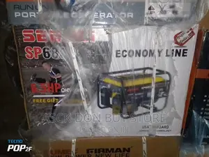 3kva Senwei Generator