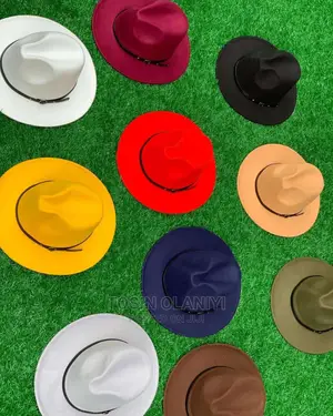 Beautiful Fadora Hats