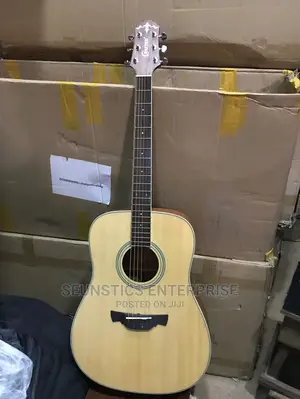 Crafter Acoustic Guitar