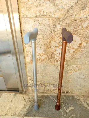 Folding Walking Sticks, Lightweight Aluminum
