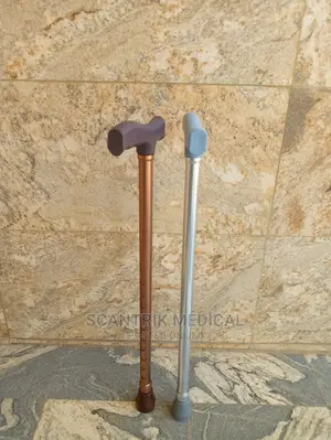 Walking Stick, Walking Aids