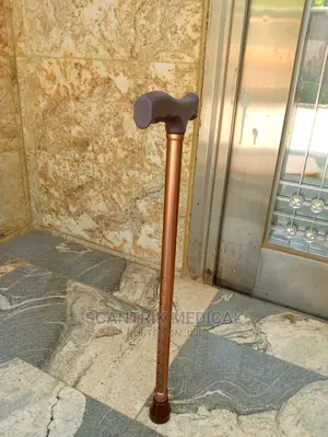 Lightweight Aluminum, Folding Walking Sticks