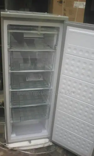 Silverbird 300 Litres Upright Freezer With 2years Warranty
