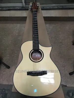 Smiger FN 20 Electro Acoustic Guitar