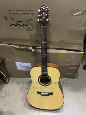 Professional Acoustic Guitar