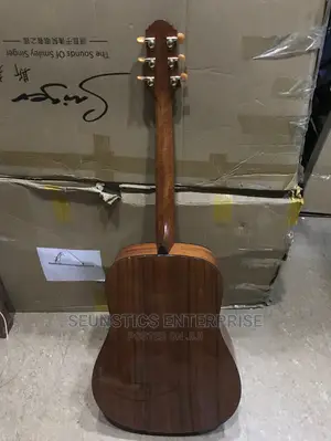 Professional Acoustic Guitar