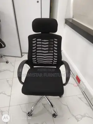 Economic Mesh Executive Office Chairs
