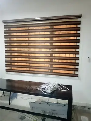 Day Light Window Blinds