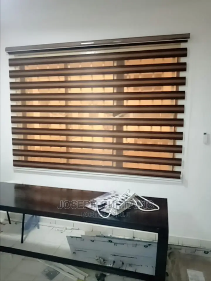 Day Light Window Blinds