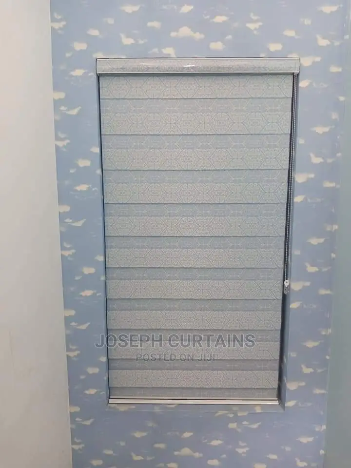 Day Light Window Blinds