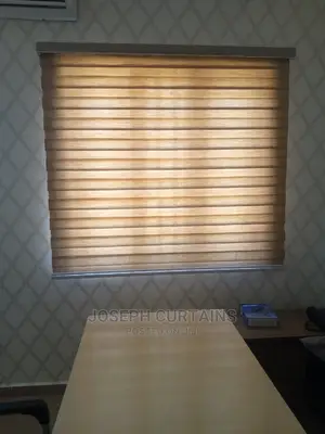 Day Light Window Blinds