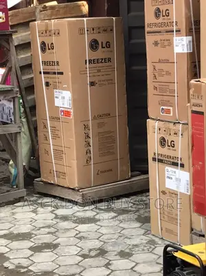 Inverter LG 250liters Standing Fridge