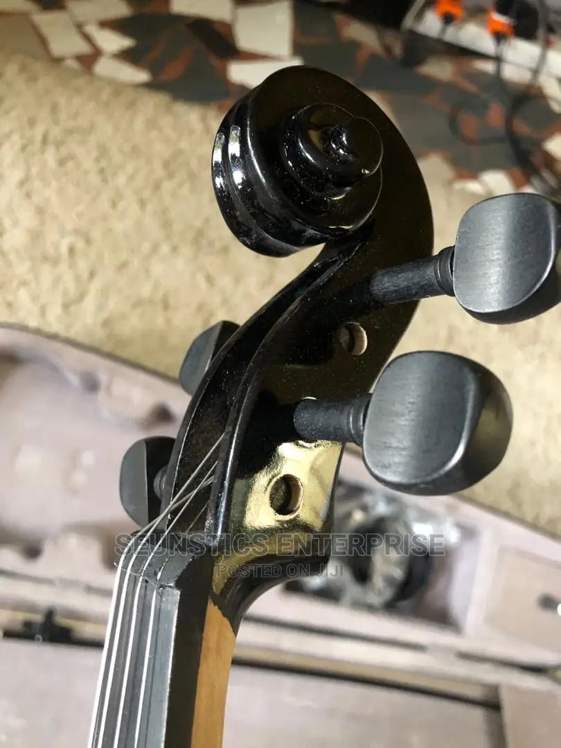 Electric Violin
