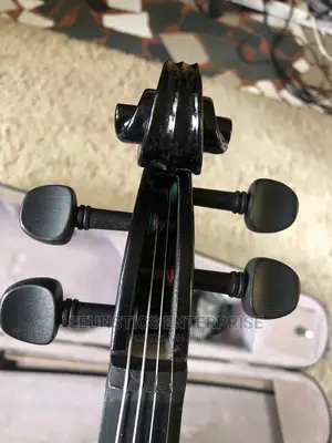 Electric Violin