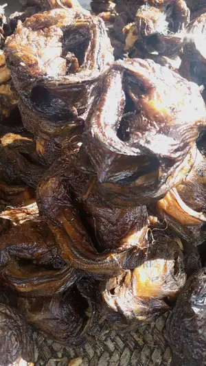 Dry Catfish