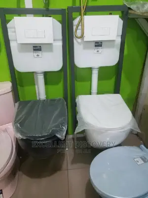 Wh Concealed Water Closet
