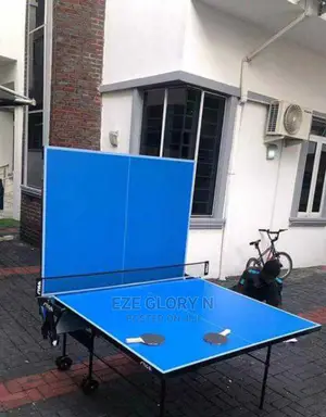 Original Indoor Table Tennis Board