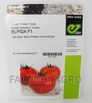Beef Tomato Elpida F1 Seeds (1,000 Seeds)