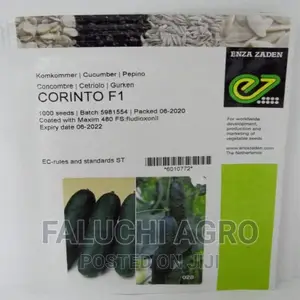 Cucumber Corinto F1 Slicer Seeds (Enza Zaden | 1,000 Seeds)