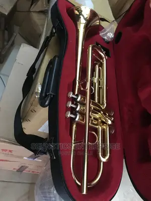 Professional Trumpet (DY USA