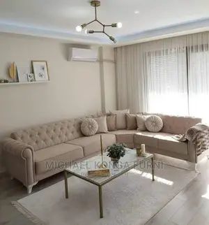 Luxuxy L Shape Sofas