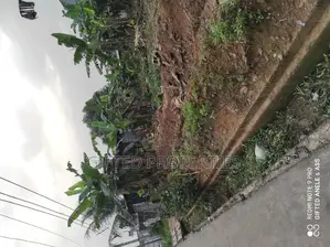 Genuine 1plot With Good Rd Off Nta Rd Laritel Ph