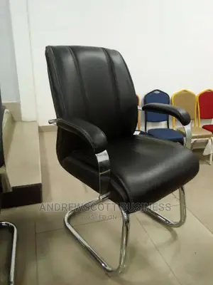 Executive Director Office Visitors Chair