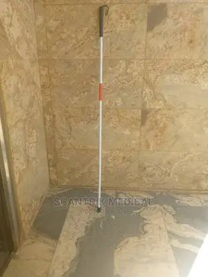 Wholesale Cheap Unique Design Walking Cane