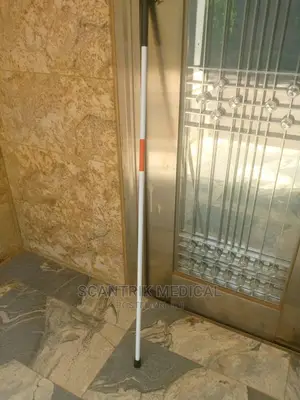 The Blind or Visually Impaired Blind Cane