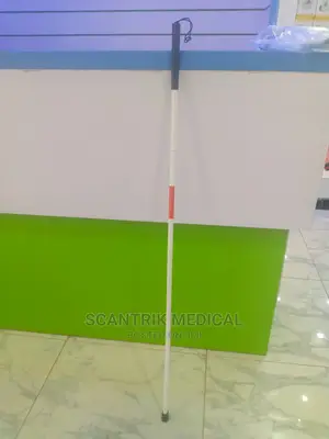 China Wholesale Folding Blind Cane