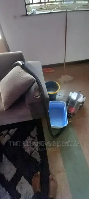 Cleaning Rugs Nd Sofa
