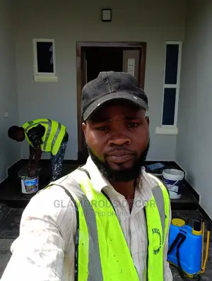 Professional House Paintings