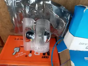 Toyota Door Loggo Light