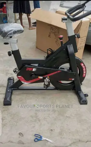 Standard Flywheel Spinning Bike