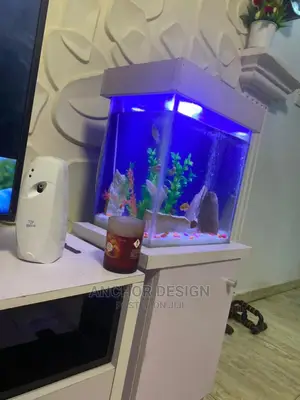 Portable Aquarium Tank