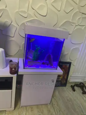 Portable Aquarium Tank