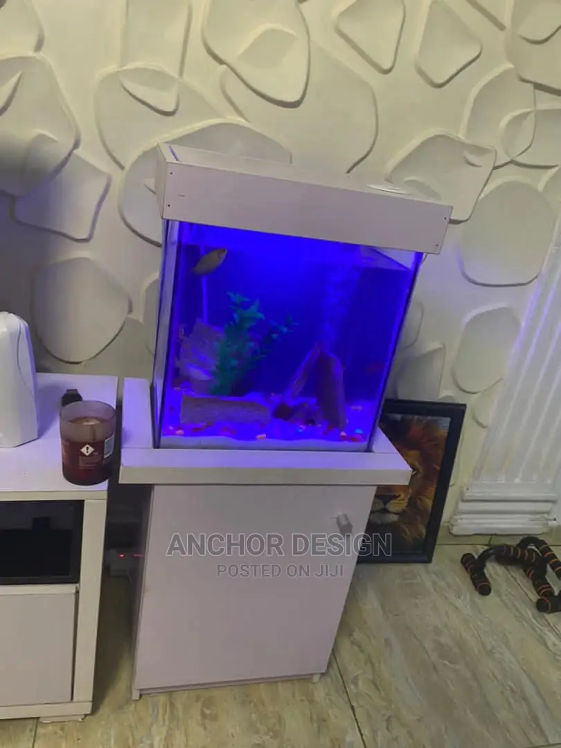 Portable Aquarium Tank