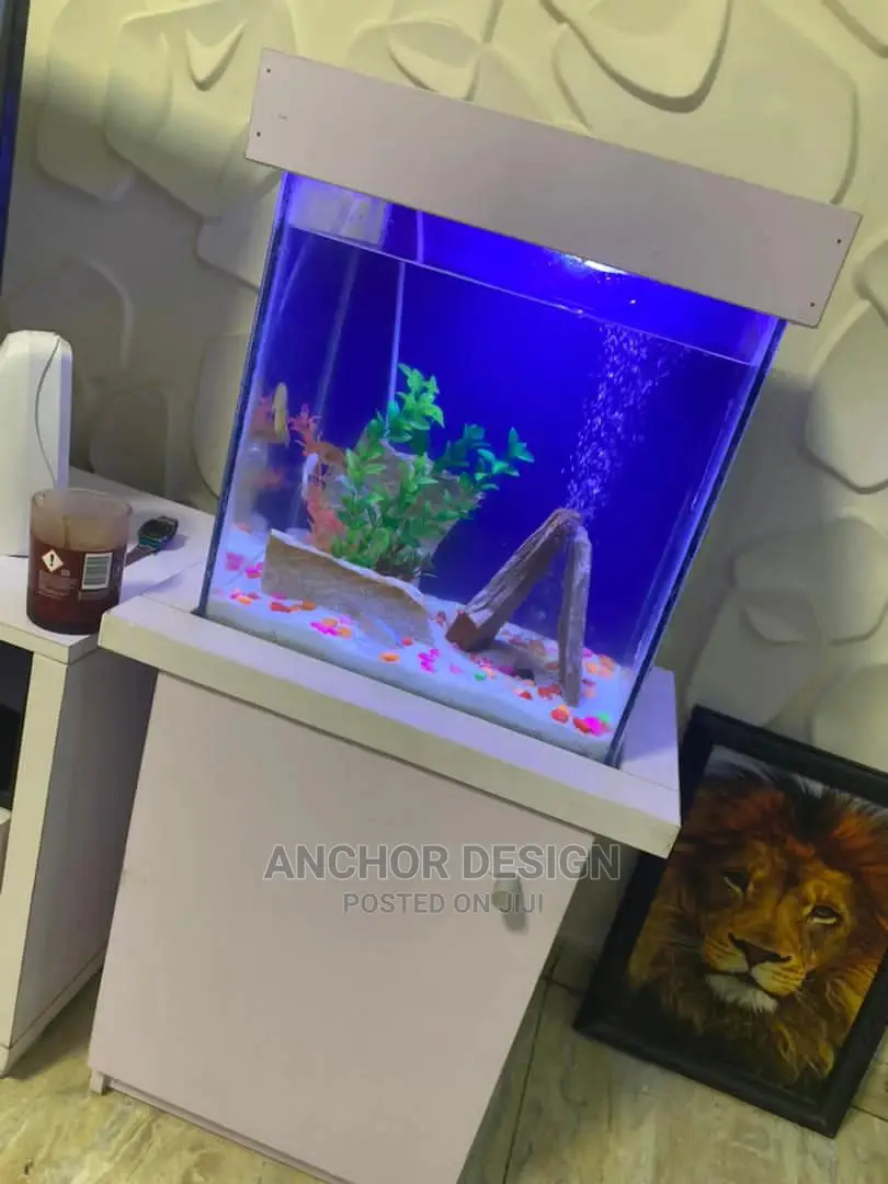 Portable Aquarium Tank
