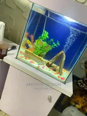 Portable Aquarium Tank