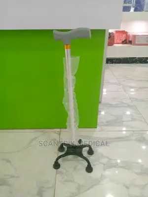 Four Legs Walking Stick for Disabled