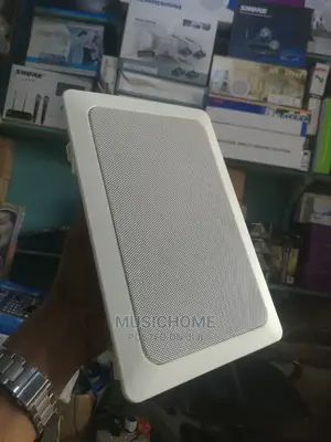 In-Ceiling/in-Wall Speakers.