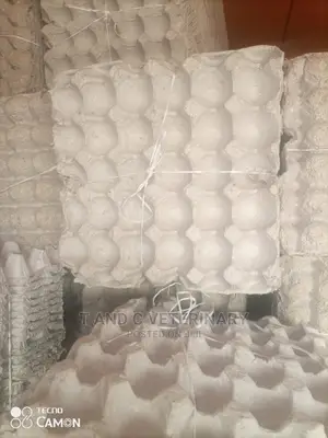 Quality Paper Egg Crate Tray Pack of 100pcs