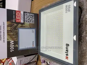 Flood Light 100w Slang
