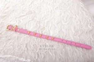 LOVPE Dog Collar/Cat Collar One Row Golden Spike Studded