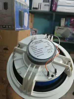 30W Foreign in-Ceiling Speaker