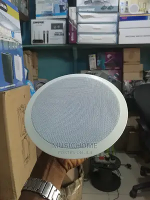 30W Foreign in-Ceiling Speaker